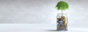 6 reasons why you need a financial advisor
